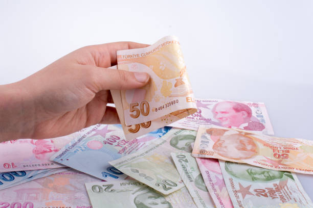 istock Hand holding Turksh Lira banknote  in hand 651004640