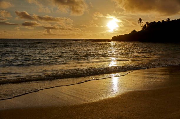 istock golden Hawaiian island sunset on the beach 651009692
