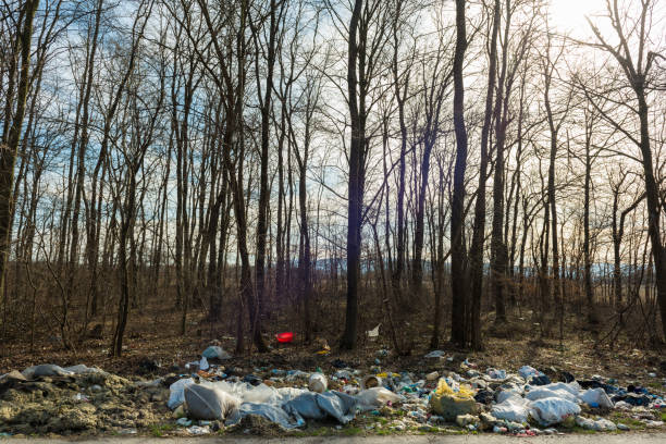 istock Trash and garbage at side of the road, nature 651024124