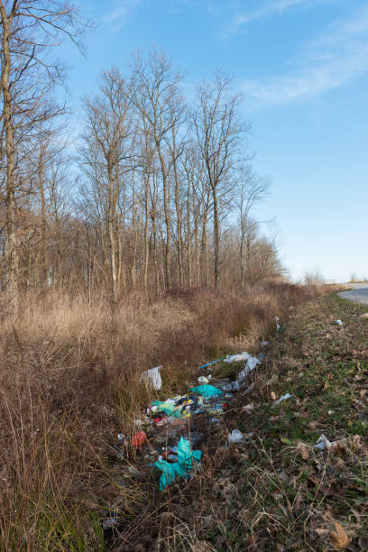 istock Trash and garbage at side of the road, nature 651030336