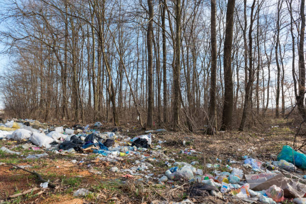 istock Trash and garbage at side of the road, nature 651030660