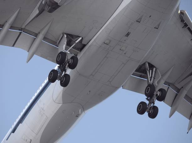 istock Closeup of airplane landing 651066838