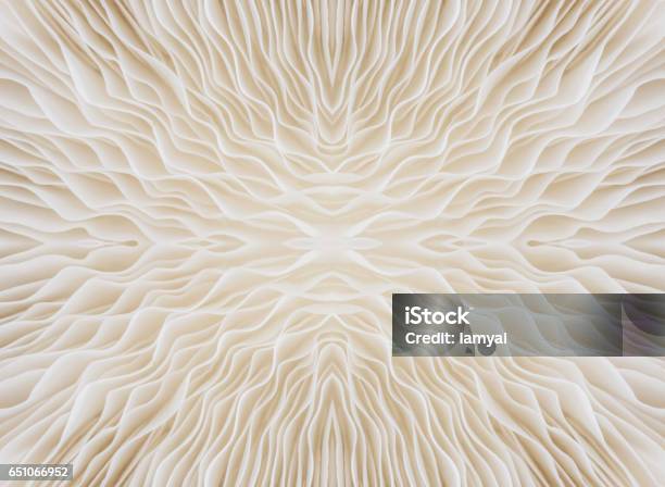 Background Macro Of Mushroom Stock Photo - Download Image Now - Macrophotography, Edible Mushroom, Nature