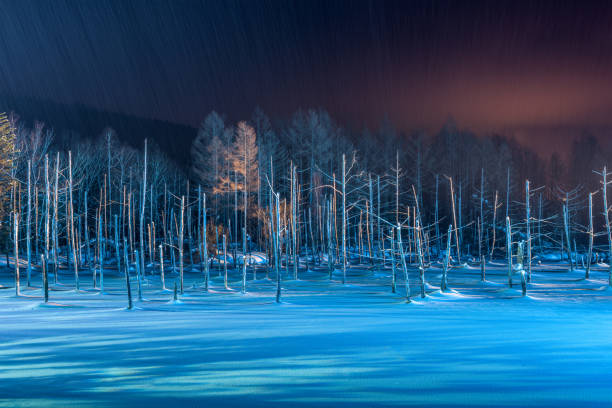 istock Blue Pond of Biei, Japan 651073224
