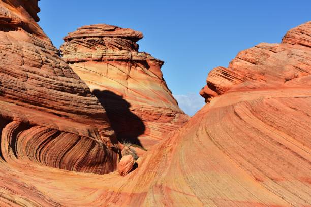 istock Coyote Buttes, Paria Canyon-Vermilion Cliffs Wilderness, Arizona 651097300