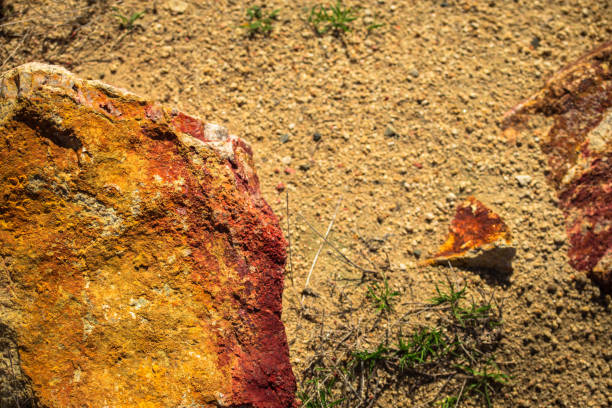 Colorful rocks on the drab background of sand, with small plants beginning to sprout