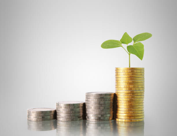 istock Coins graph stock market 651110410