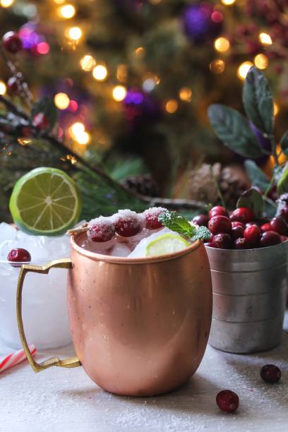 istock Cranberry Moscow Mule against holiday xmas background 651116700