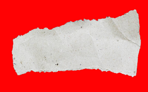 istock Piece of torn paper 651151820