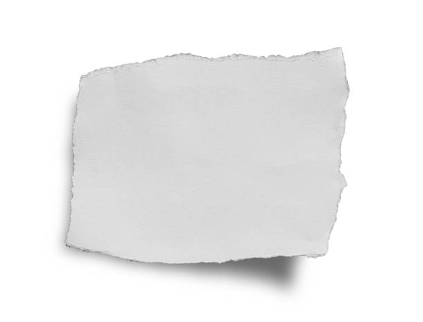 istock Piece of torn paper 651151868