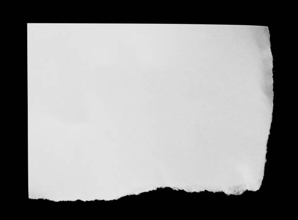 istock Piece of torn paper 651151890