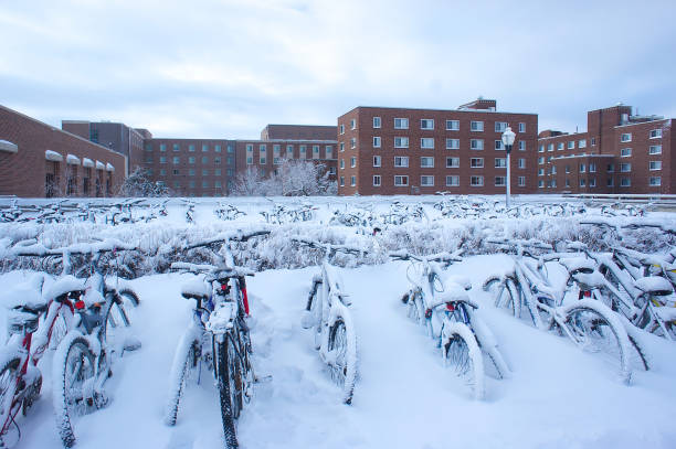 Minnesota, University, Campus, Minneapolis, Built Structure