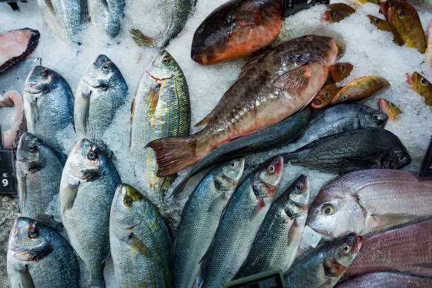 istock fish market. dorado fish on ice background 651160408