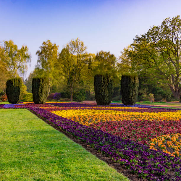 istock Landscaped Formal Garden. Park. public park 651163196