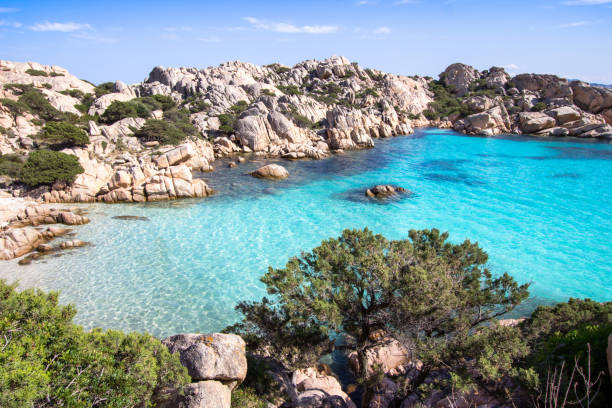 istock Beach of Cala Coticcio, Sardinia, Italy 651191300