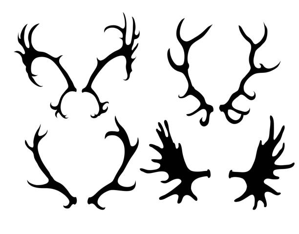 鹿やヘラ�ジカの角のシルエットのセット - 角のはえた点のイラスト素材／クリップアート素材／マンガ素材／アイコン素材