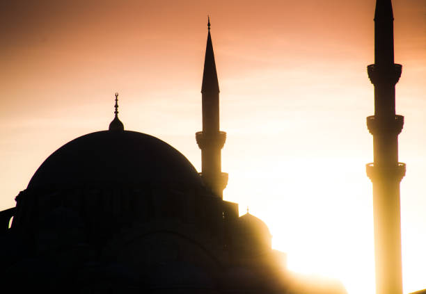 istock sunset mosque in istanbul Landscape 651194820