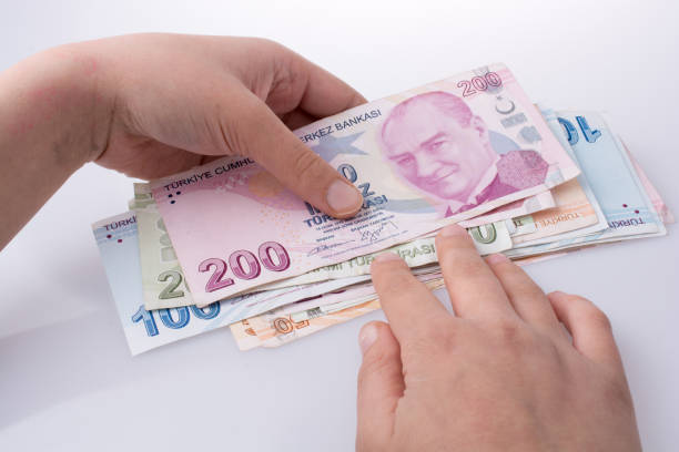 istock Hand holding Turksh Lira banknotes  in hand 651202948