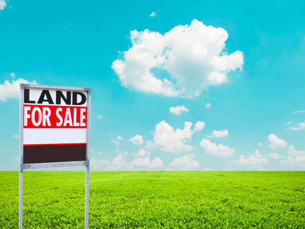 istock Land for sale sign on empty green field 651205930