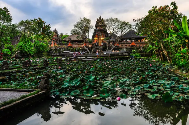 Lotus pond in Saraswati Temple in the town of Ubud, Bali