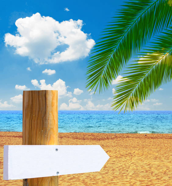 istock Paradise beach with empty wooden sign - Vacation concept 651209636