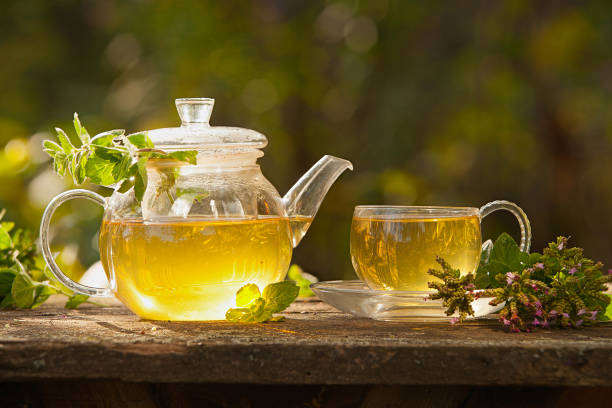 xícara de chá verde na bela - tea cup tea cup herbal medicine - fotografias e filmes do acervo