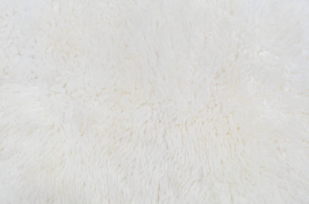 istock Closeup surface abstract fabric pattern at the white fabric carpet made from wool at the floor of house texture background 651215238