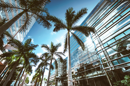 miami brickell downtown at dusk