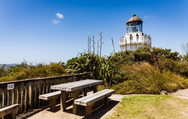 istock Manukau Heads Lighthouse. 651222120