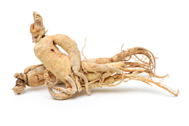 チョウセンニンジン根本原因 - ginseng dried plant homeopathic medicine dry ストックフォトと画像