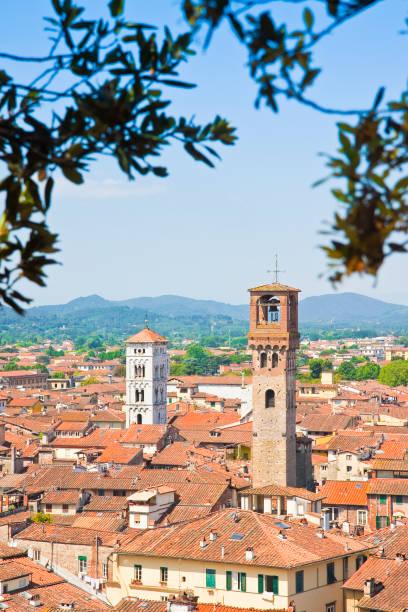 istock Panoramic view of Lucca seen from Guinigi tower 651229564