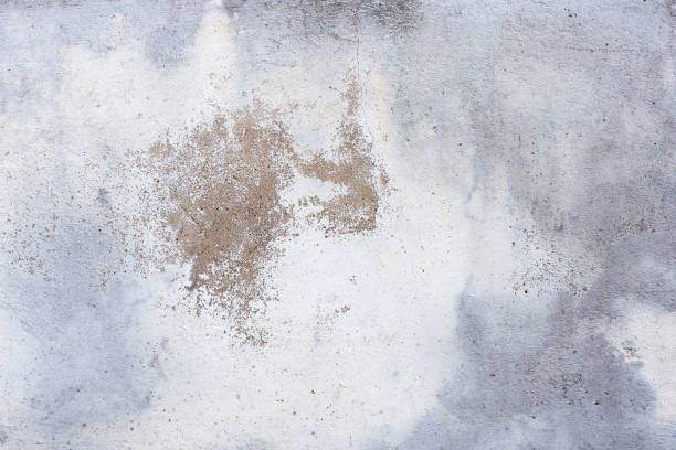 istock Old grunge textures backgrounds. Perfect background with space. 651229814