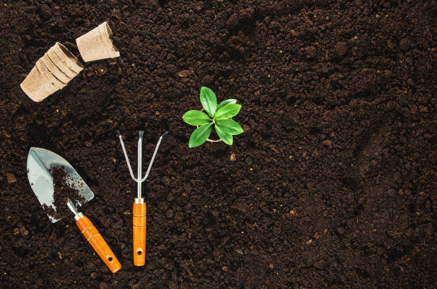 istock Gardening tools on garden soil texture background top view 651230164
