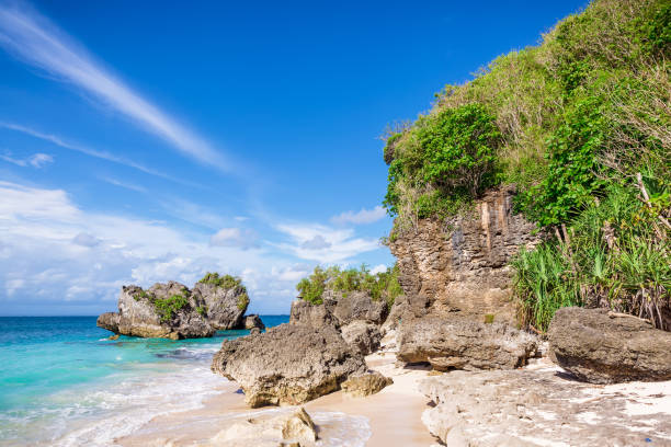 istock Tropical beach, rocks and ocean 651230330