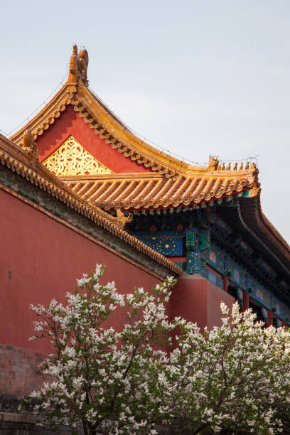 istock Chinese ancient royal architecture, Beijing's Forbidden City 651230456