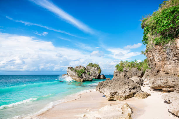 istock Tropical beach, rocks and ocean 651230714