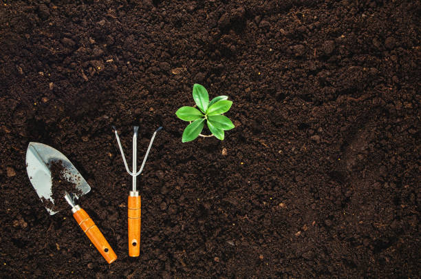 Gardening tools on garden soil texture background top view