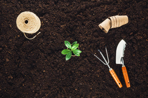 istock Gardening tools on garden soil texture background top view 651232836