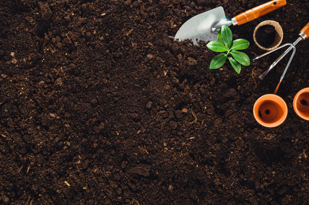 istock Gardening tools on garden soil texture background top view 651232912