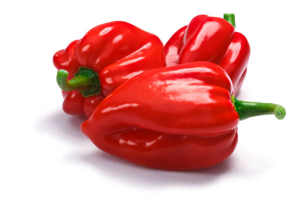 istock Pile of Trinidad seven pod peppers, paths 651232934