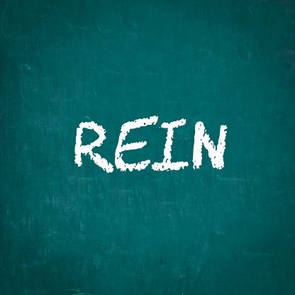REIN written on chalkboard
