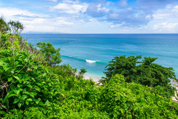 istock Tropical beach and ocean 651251558