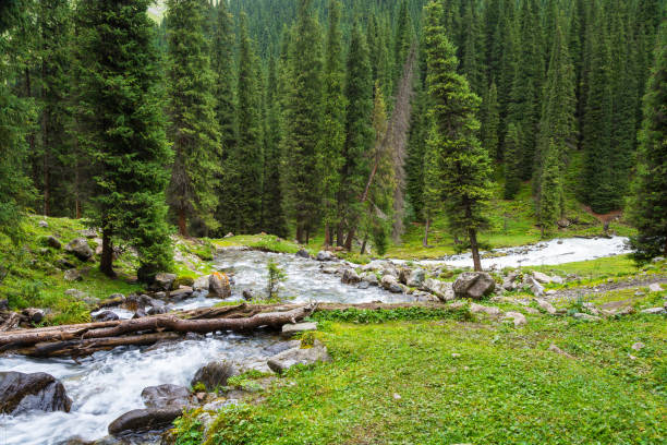 istock Mountainous Landscape with the rough river, Kyrgyzstan. 651254112