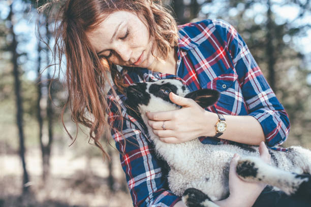 istock Young girl with sheep 651335342