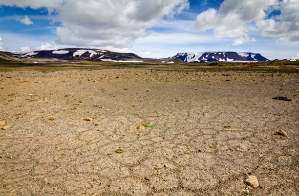 istock Patternd ground with polygons in beautiful primordial icelandic highland. Iceland 651342932