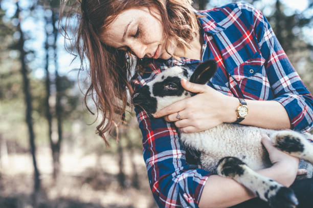 istock Young Girl Holding a Lamb 651345348