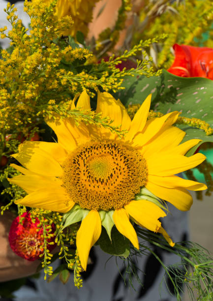 istock handmade  beautiful bouquets from flowers and herbs 651352050