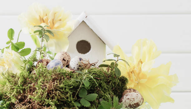 istock Easter decoration on wooden background 651356674