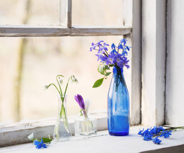 istock Blue snowdrop flowers in a  window in the spring 651356854