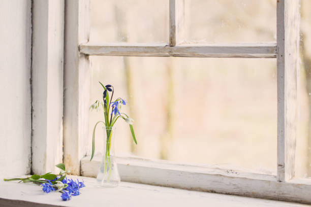 istock Blue snowdrop flowers in a  window in the spring 651356878